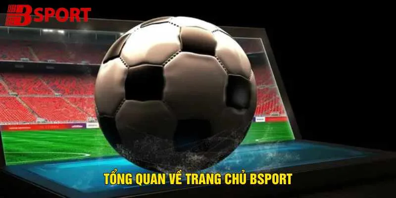 tong-quan-ve-trang-chu-bsport
